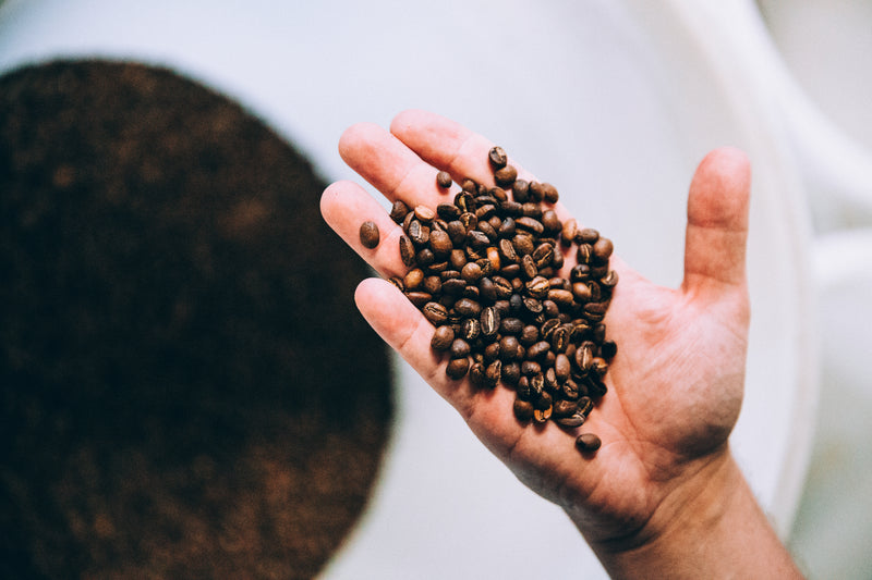 Freshly Roasted